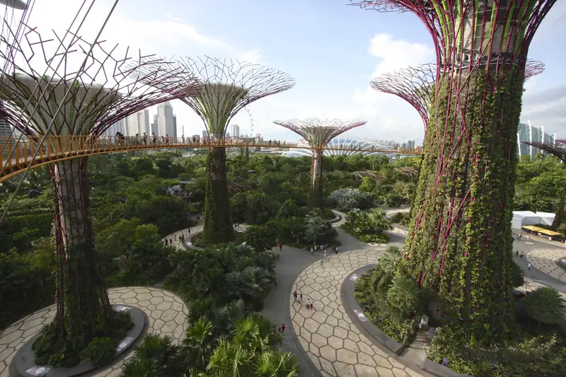 Žlutá lávka OCBC Skyway mezi Supertrees a pěší trasa na zemi