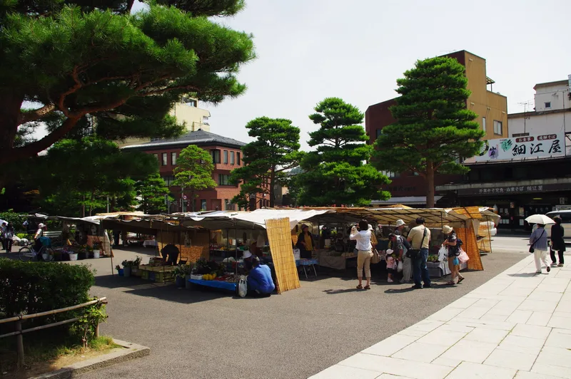 松の木の下にテントの店が並ぶ陣屋前朝市