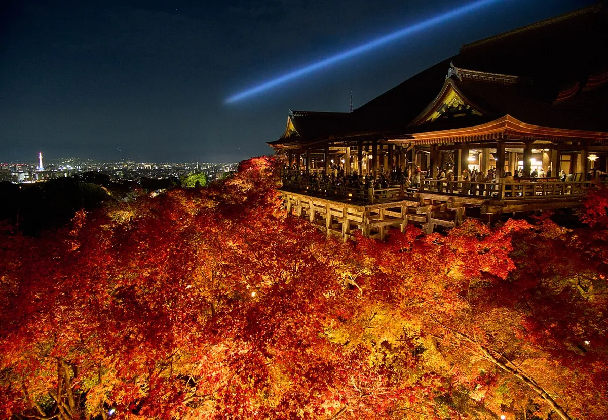 夜の照明に照らされた清水寺の本堂と紅葉、奥に広がる京都の街の明かり