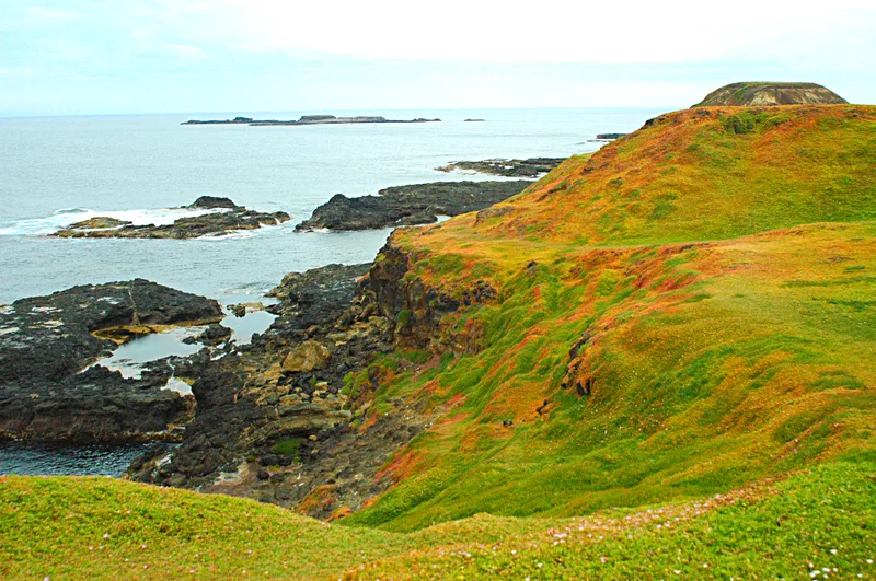 Nobbies 海岸草地与海面,画面中可见部分步道