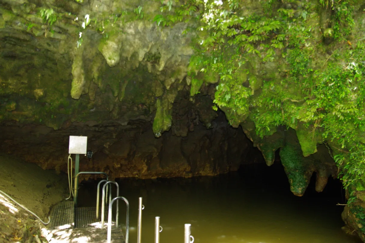 水路と木々が続くWaitomo Glowworm Caveの出口
