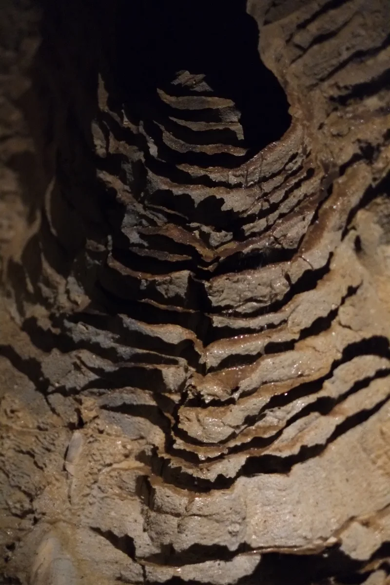 層状の岩壁と上方へ続く縦穴が見えるRuakuri Caveの内部